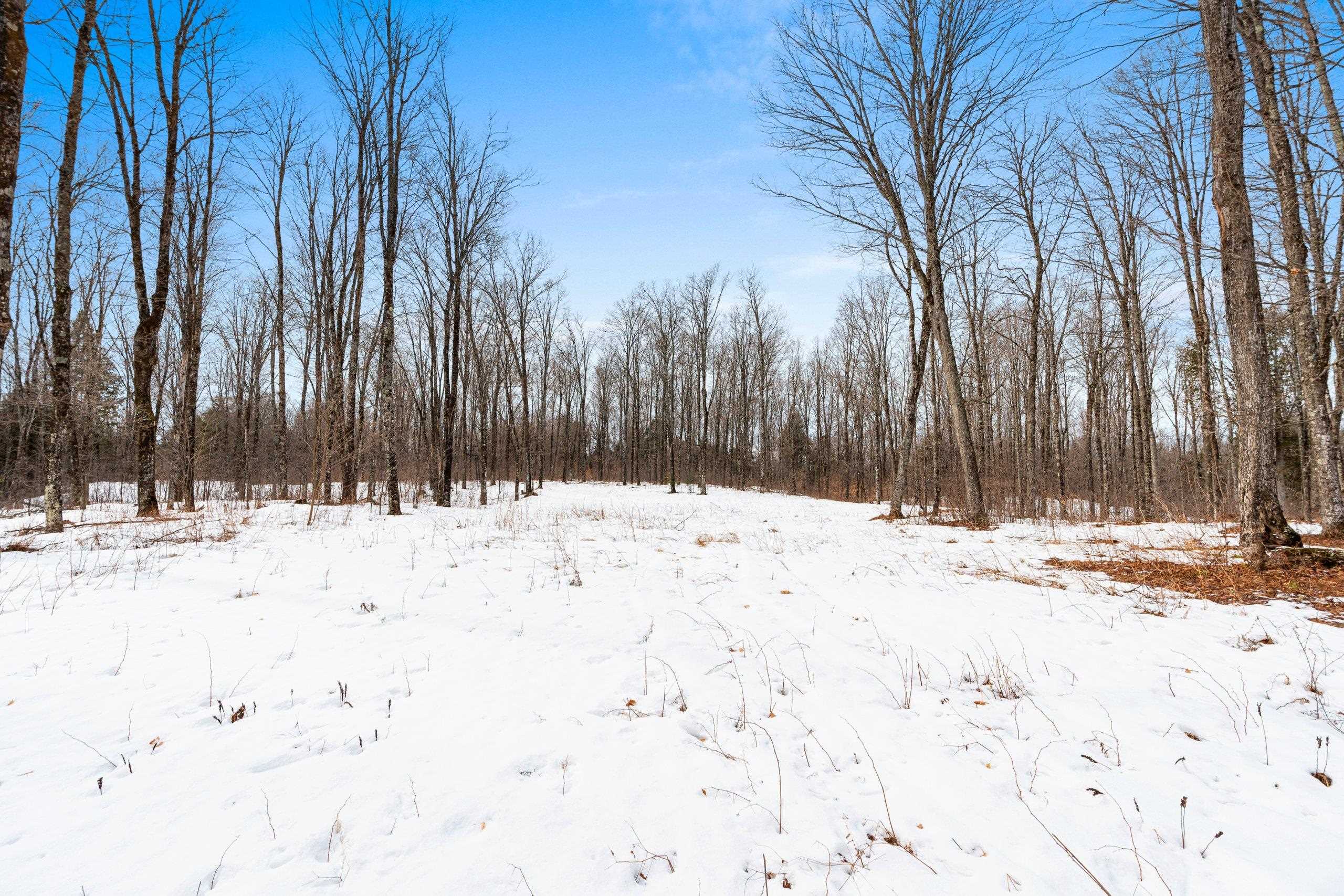 6506 Double Bend Road Argonne, WI 54511 - Photo 36 of 60