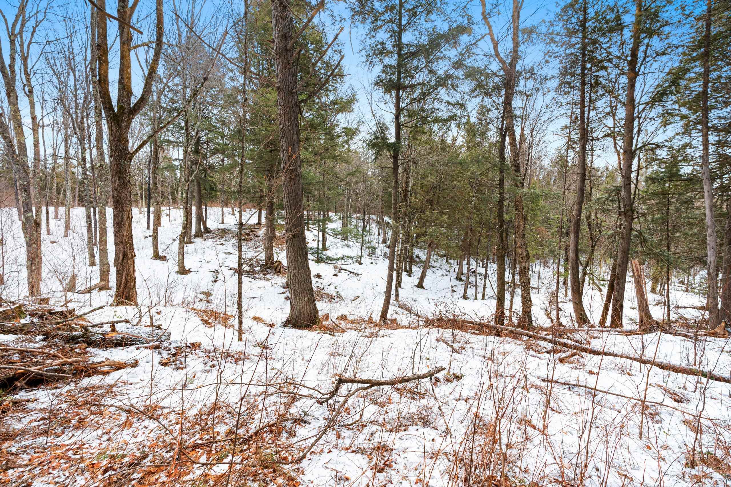 6506 Double Bend Road Argonne, WI 54511 - Photo 38 of 60
