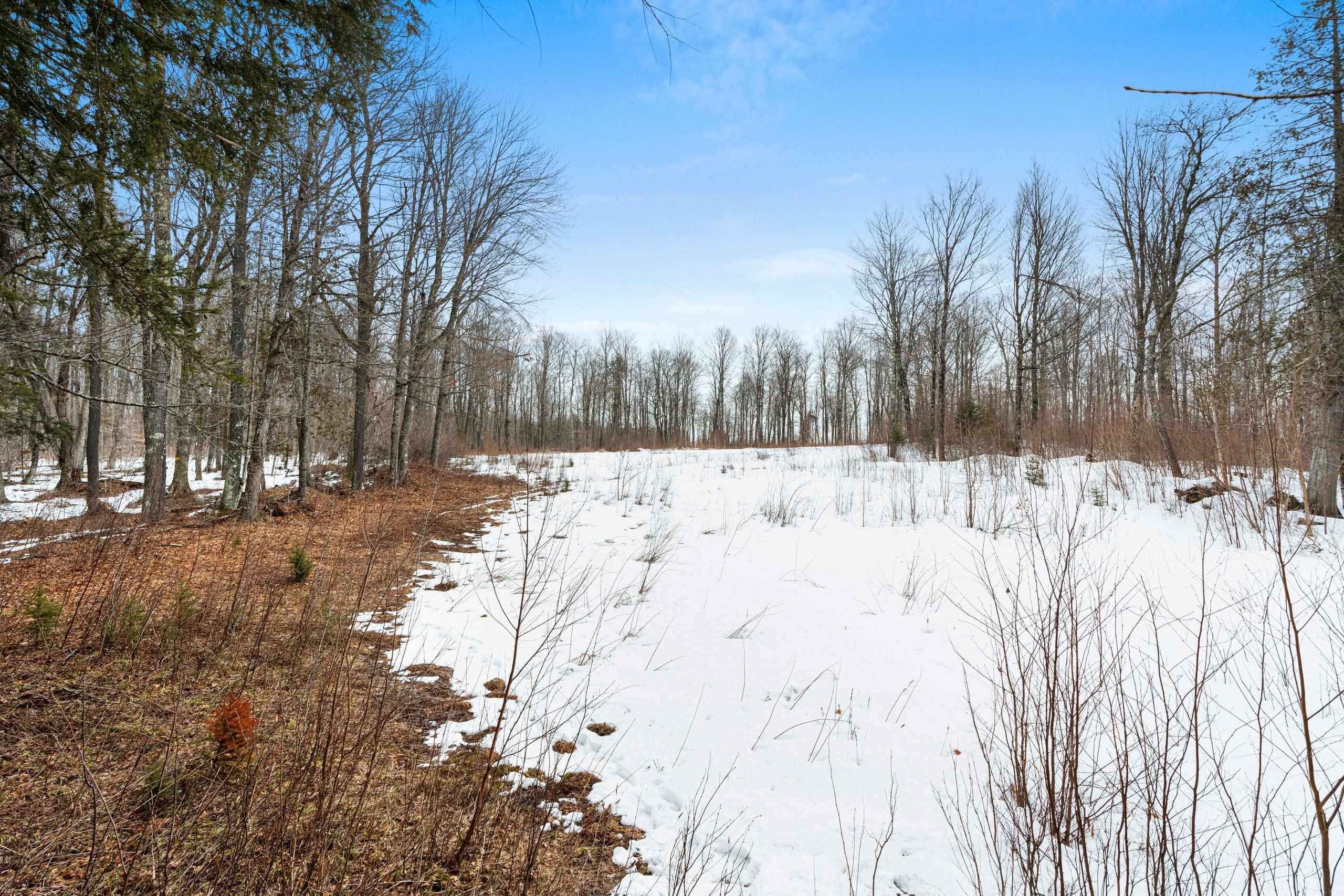 6506 Double Bend Road Argonne, WI 54511 - Photo 40 of 60