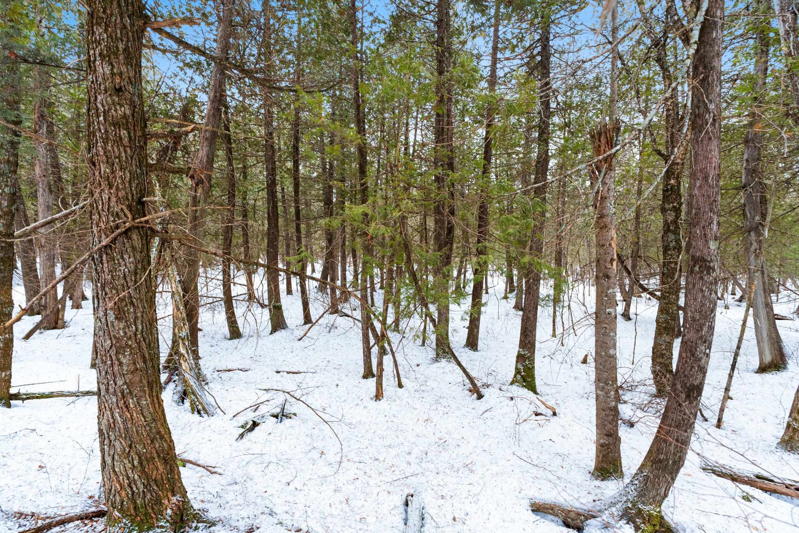 6506 Double Bend Road Argonne, WI 54511 - Photo 41 of 60