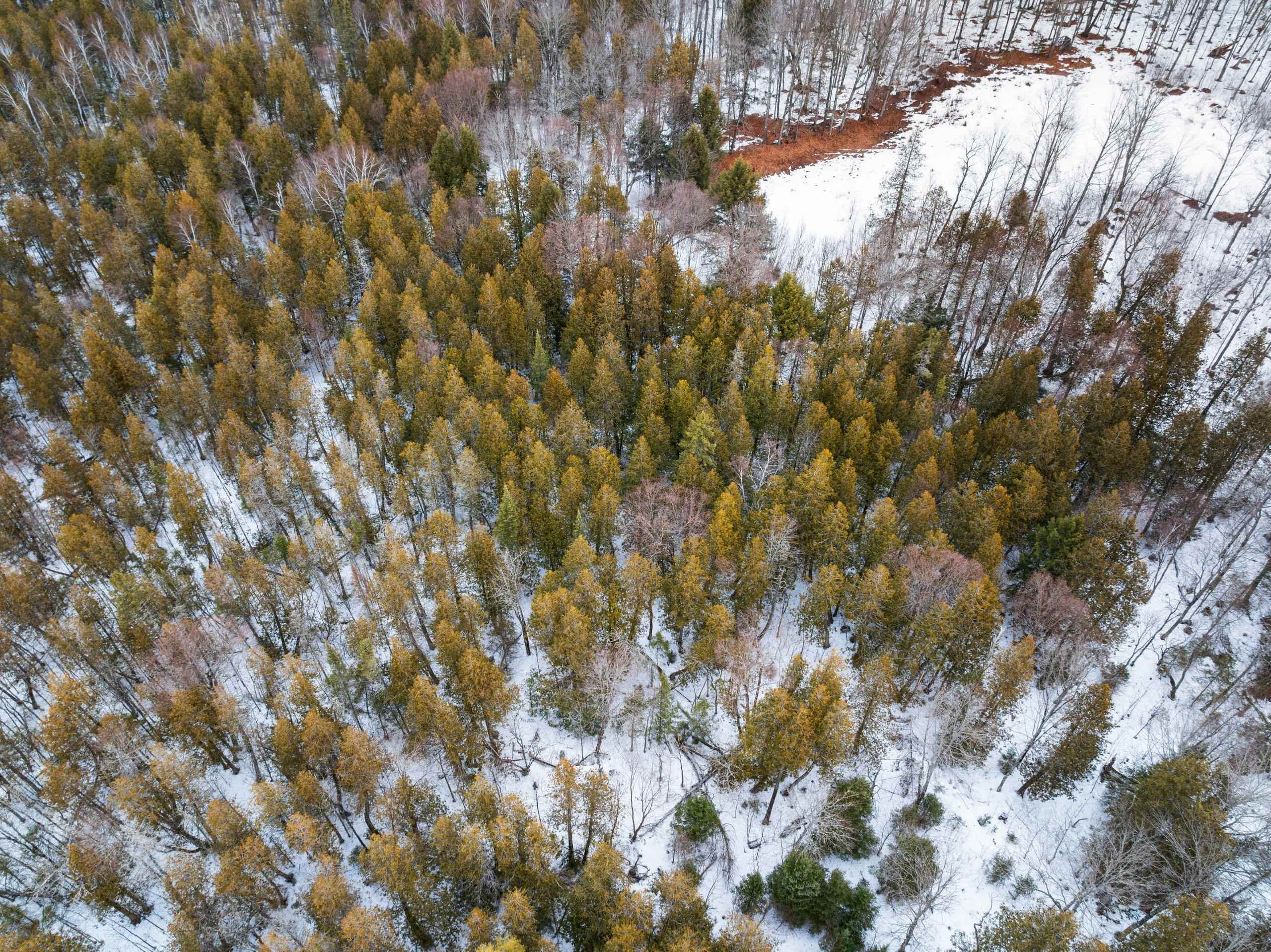 6506 Double Bend Road Argonne, WI 54511 - Photo 55 of 60