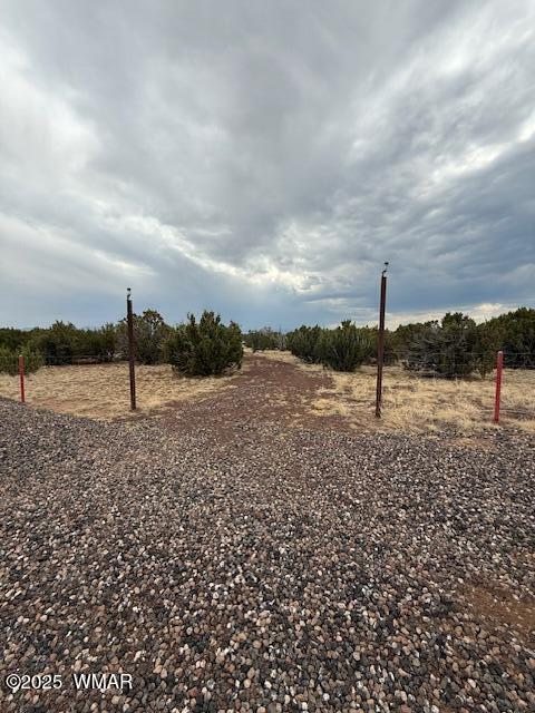 82 County Road 8010 Concho, AZ 85924 - Photo 1 of 14 82 County Rd 8010