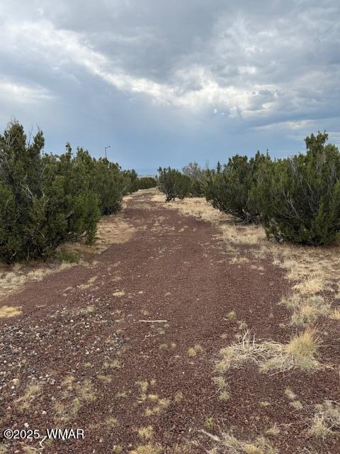 82 County Road 8010 Concho, AZ 85924 - Photo 13 of 14 Private Rd
