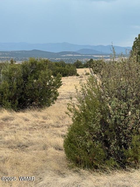 82 County Road 8010 Concho, AZ 85924 - Photo 3 of 14 Views