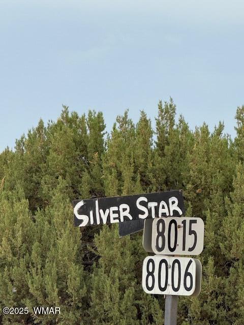 82 County Road 8010 Concho, AZ 85924 - Photo 8 of 14 Silver Start 8015