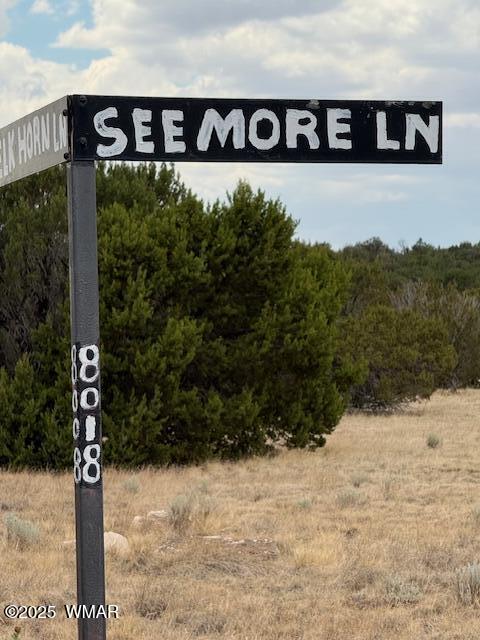 82 County Road 8010 Concho, AZ 85924 - Photo 10 of 14 Seemore 8018