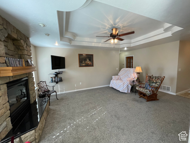 11473 South Dempsey Creek Road Lava Hot Springs, ID 83246 - Photo 5 of 47 Sitting room with a stone fireplace, carpet, and a raised ceiling