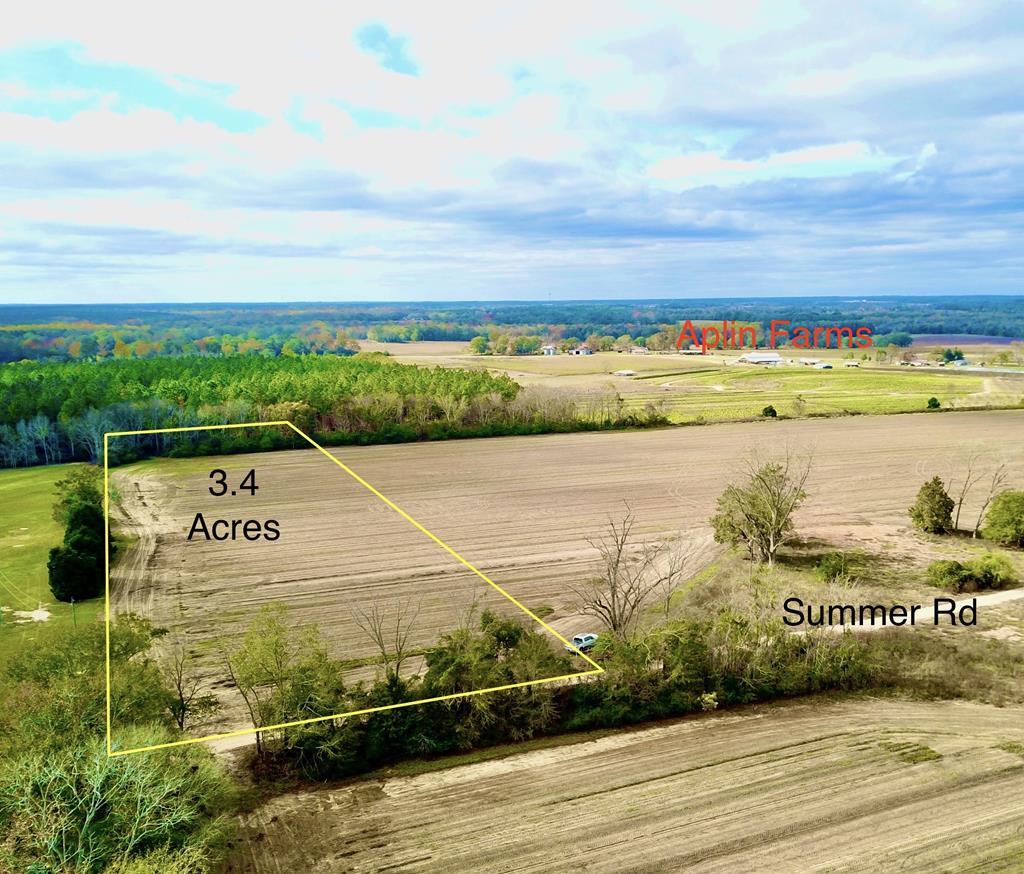 3.42-acres Summer Road Slocomb, AL 36375 - Photo 2 of 24