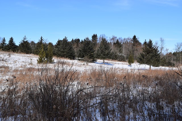 Lot 1 County Road Algoma, WI 54201 - Photo 12 of 13