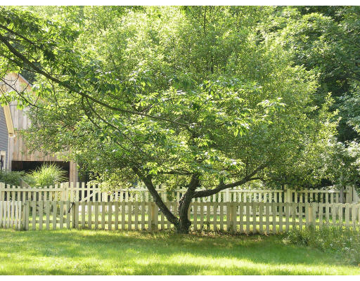 278 Allen Road Ashby, MA 01431 - Photo 9 of 9 a view of green field