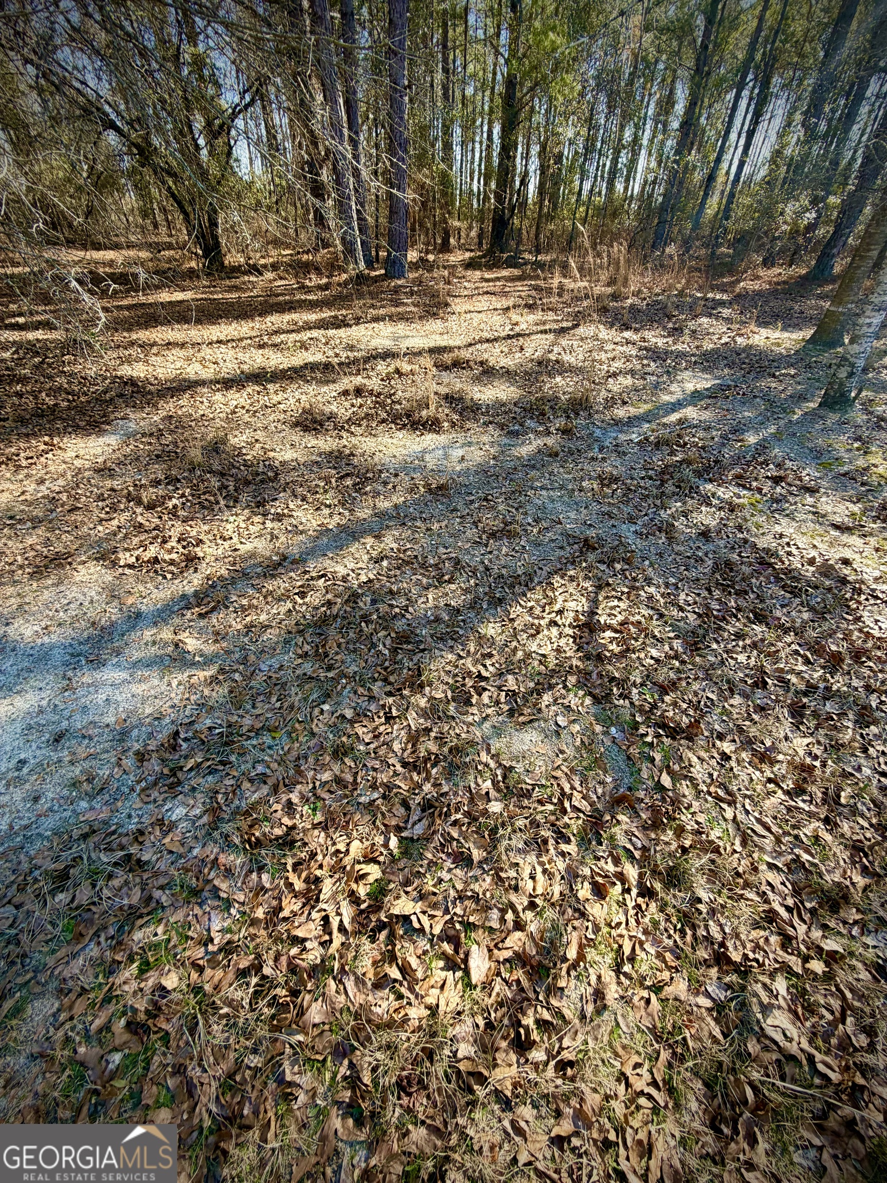 114 Ohoopee Road Adrian, GA 31002 - Photo 11 of 17 a view of empty space with a trees