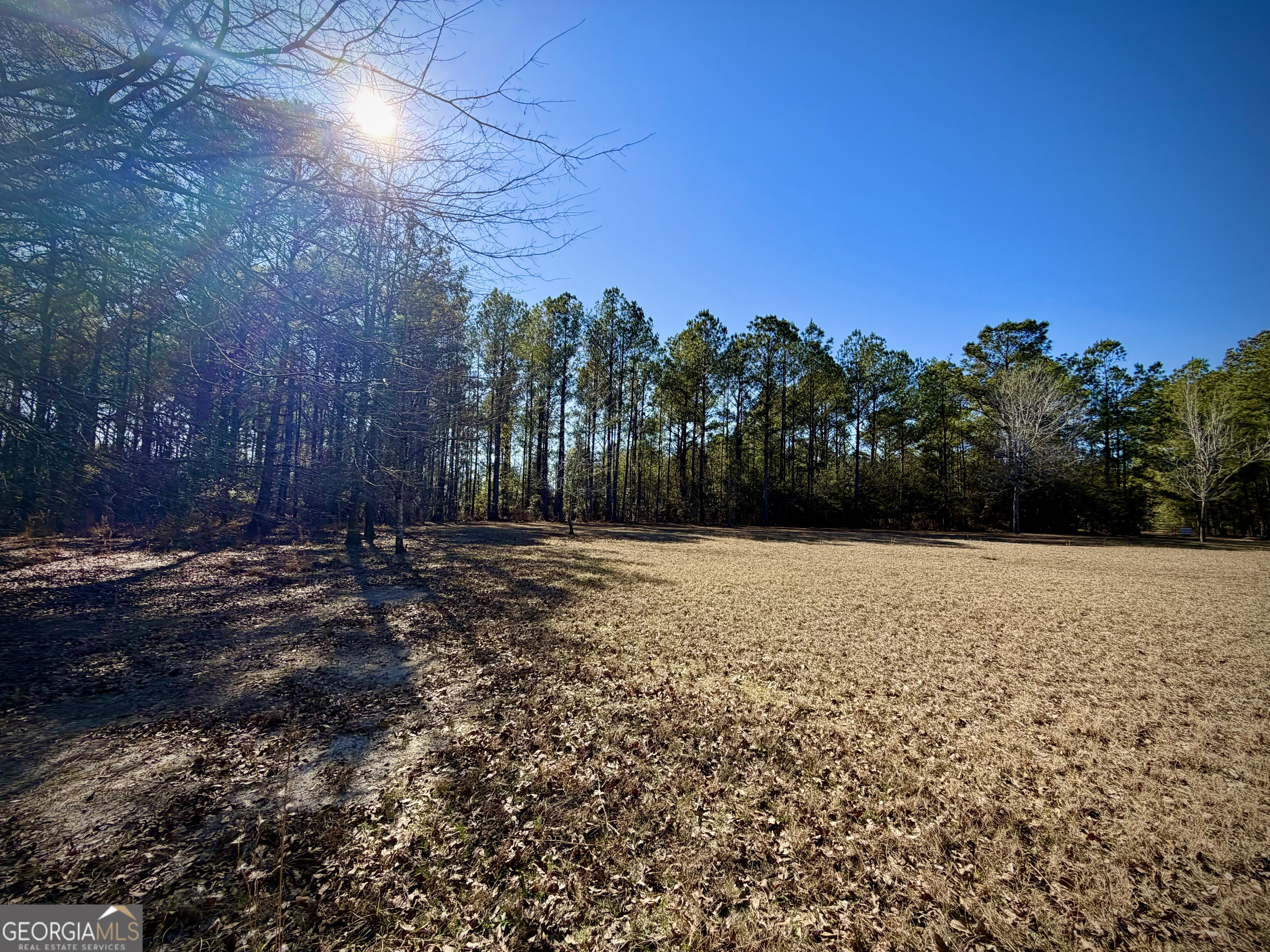 114 Ohoopee Road Adrian, GA 31002 - Photo 14 of 17 a backyard of a house