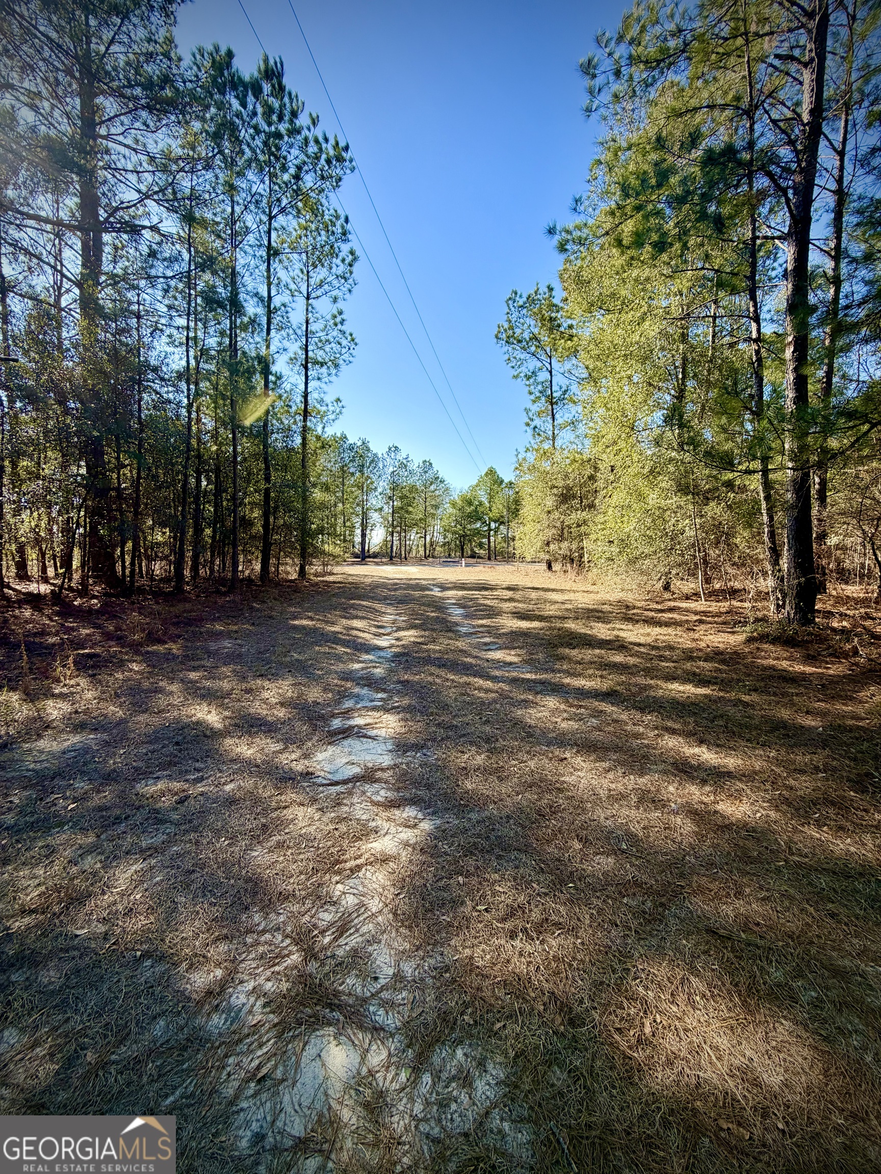 114 Ohoopee Road Adrian, GA 31002 - Photo 15 of 17 a backyard of a house with lots of green space