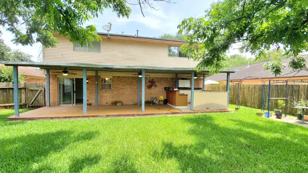 a view of a garden with a tree
