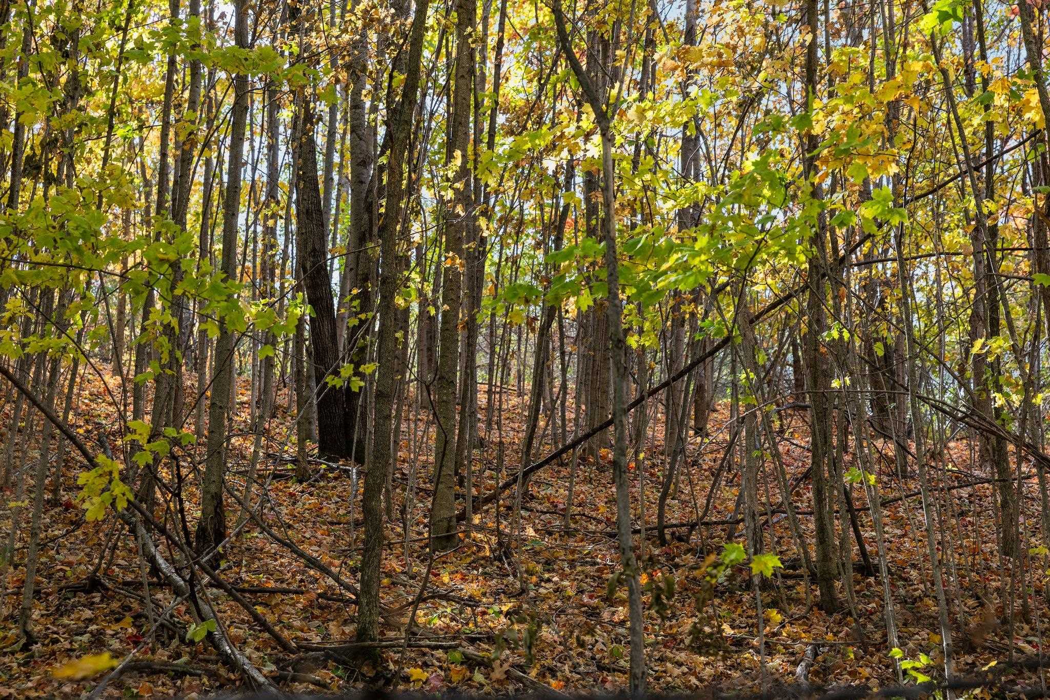 4525 Strait Road Traverse City, MI 49685 - Photo 59 of 67