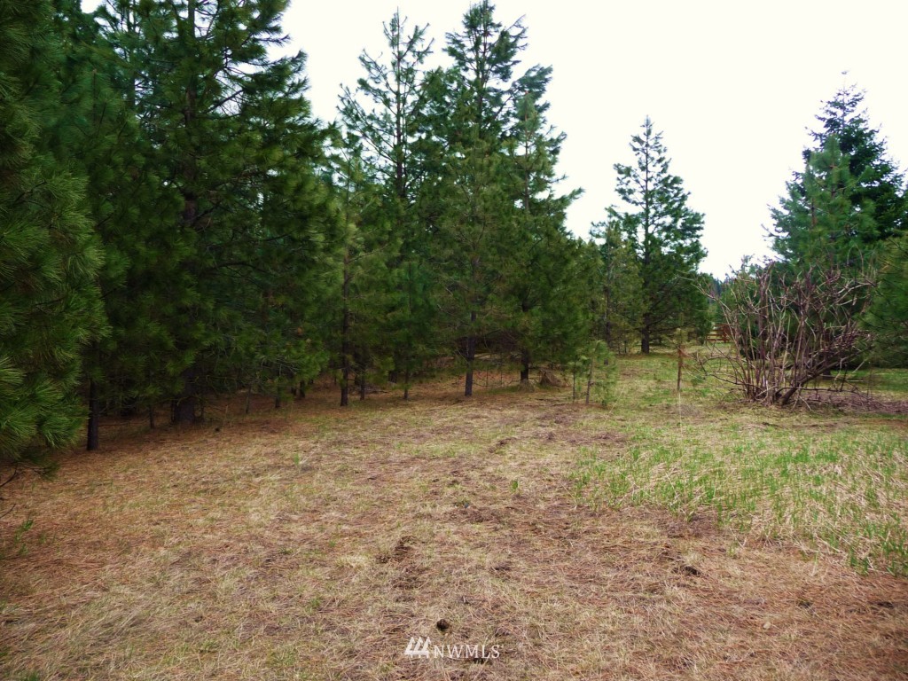 2 Old Cedars Road Cle Elum, WA 98922 - Photo 1 of 4