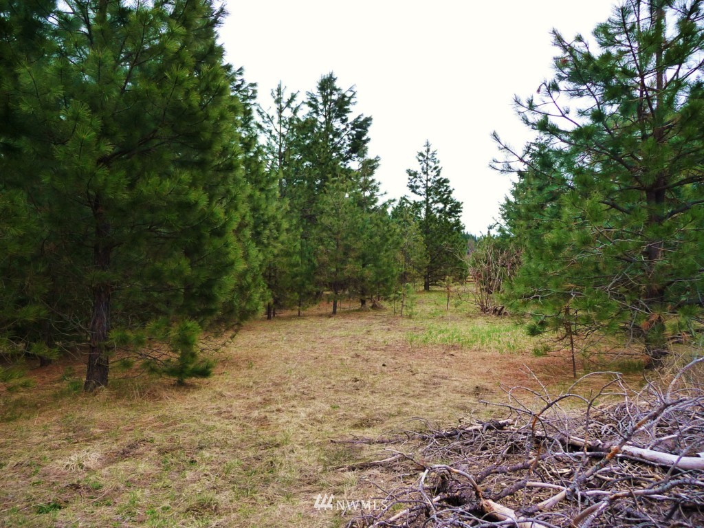 2 Old Cedars Road Cle Elum, WA 98922 - Photo 3 of 4