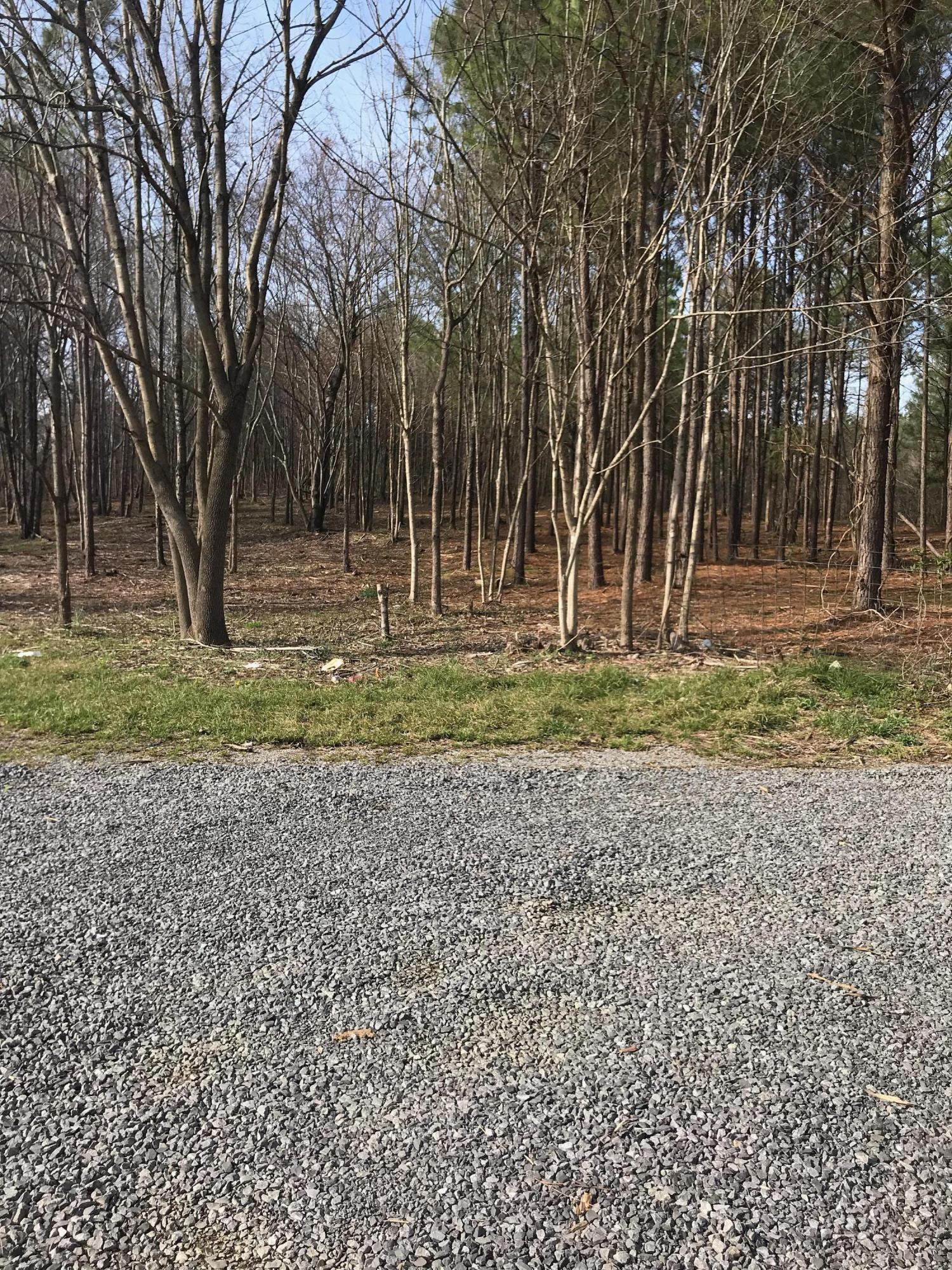 0 Northeast Old Chestuee Road Northeast, Unit 5A Cleveland, TN 37323 - Photo 2 of 11 2D055F08-1389-459D-B69A-154FF9154DB3