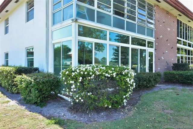 a view of a garden with a lot of flower plants