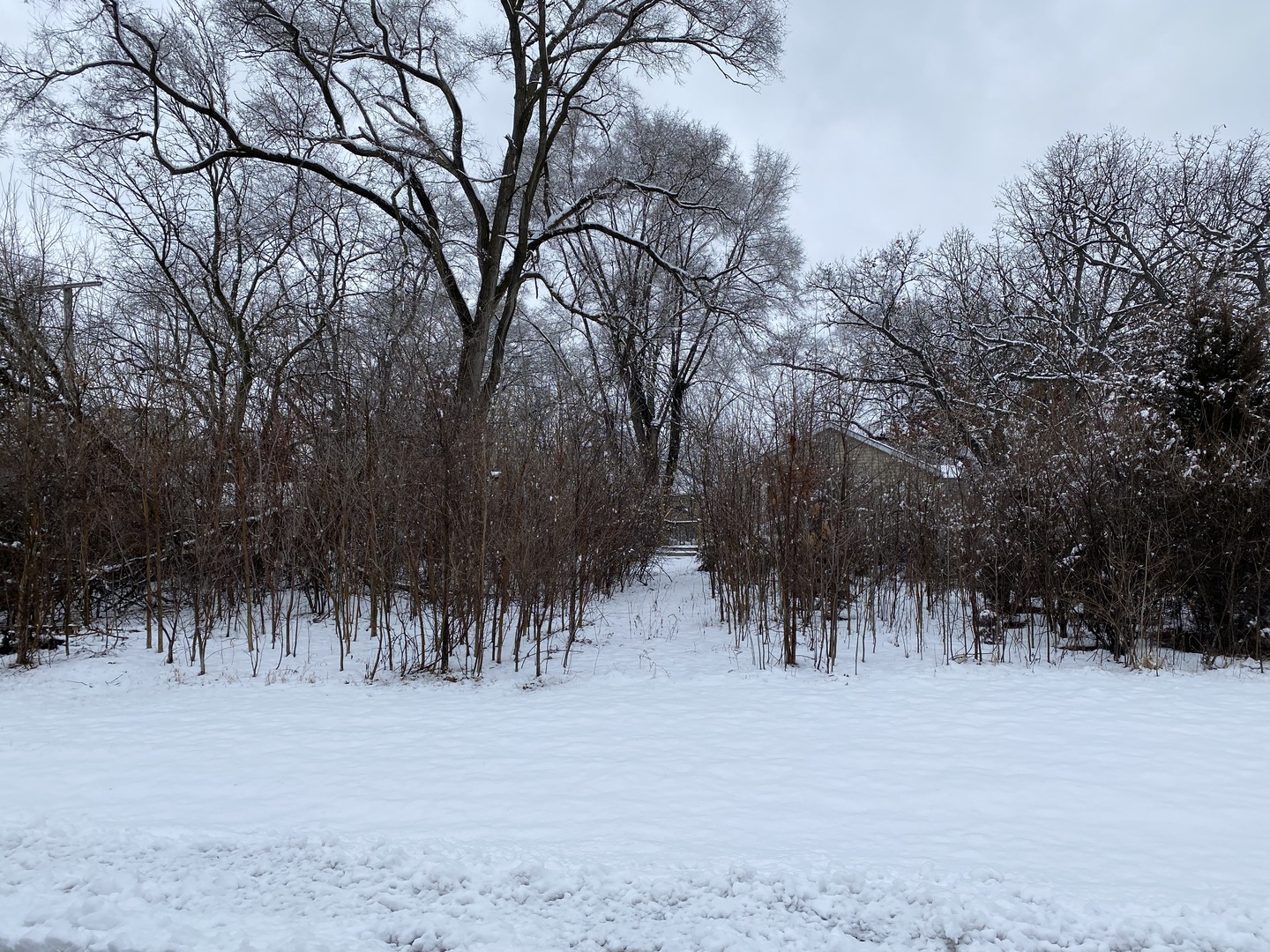 411 South Lily Lake Road McHenry, IL 60051 - Photo 2 of 4 a view of a street with trees