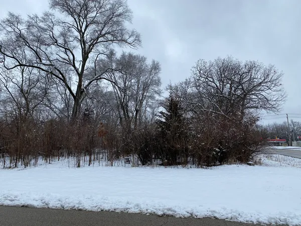 a view of a large yard with trees