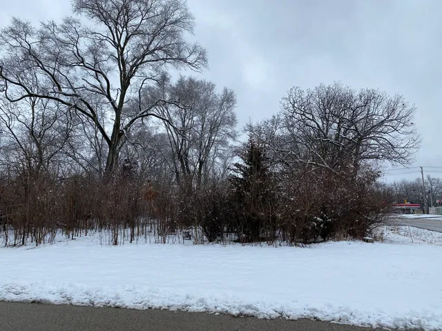 a view of a large yard with trees