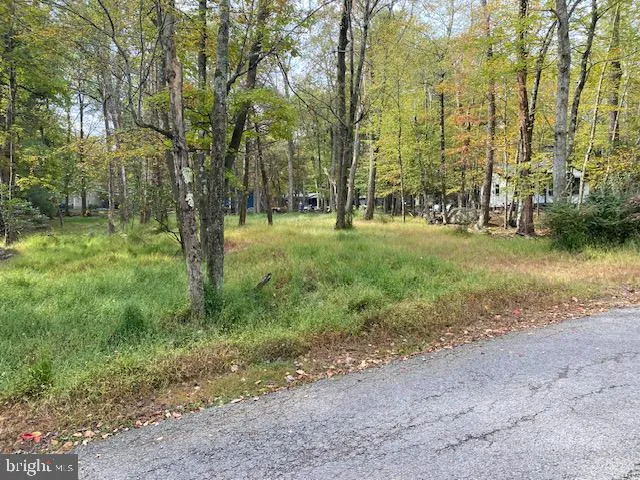 $320,000 | 25 Maplewood Road, Lake Harmony, PA 18624