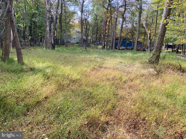 25 Maplewood Road Lake Harmony, PA 18624 - Photo 4 of 16