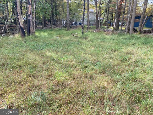 25 Maplewood Road Lake Harmony, PA 18624 - Photo 6 of 16