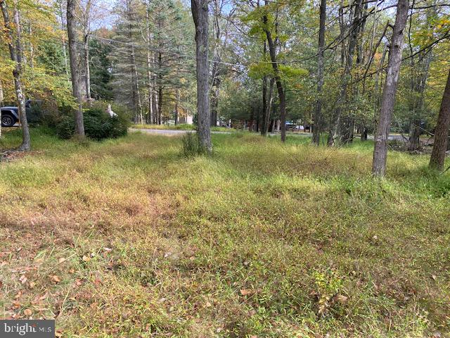 25 Maplewood Road Lake Harmony, PA 18624 - Photo 8 of 16