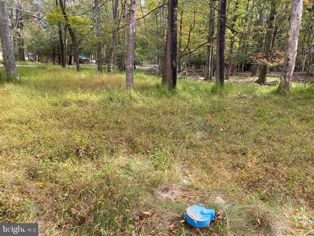 25 Maplewood Road Lake Harmony, PA 18624 - Photo 10 of 16