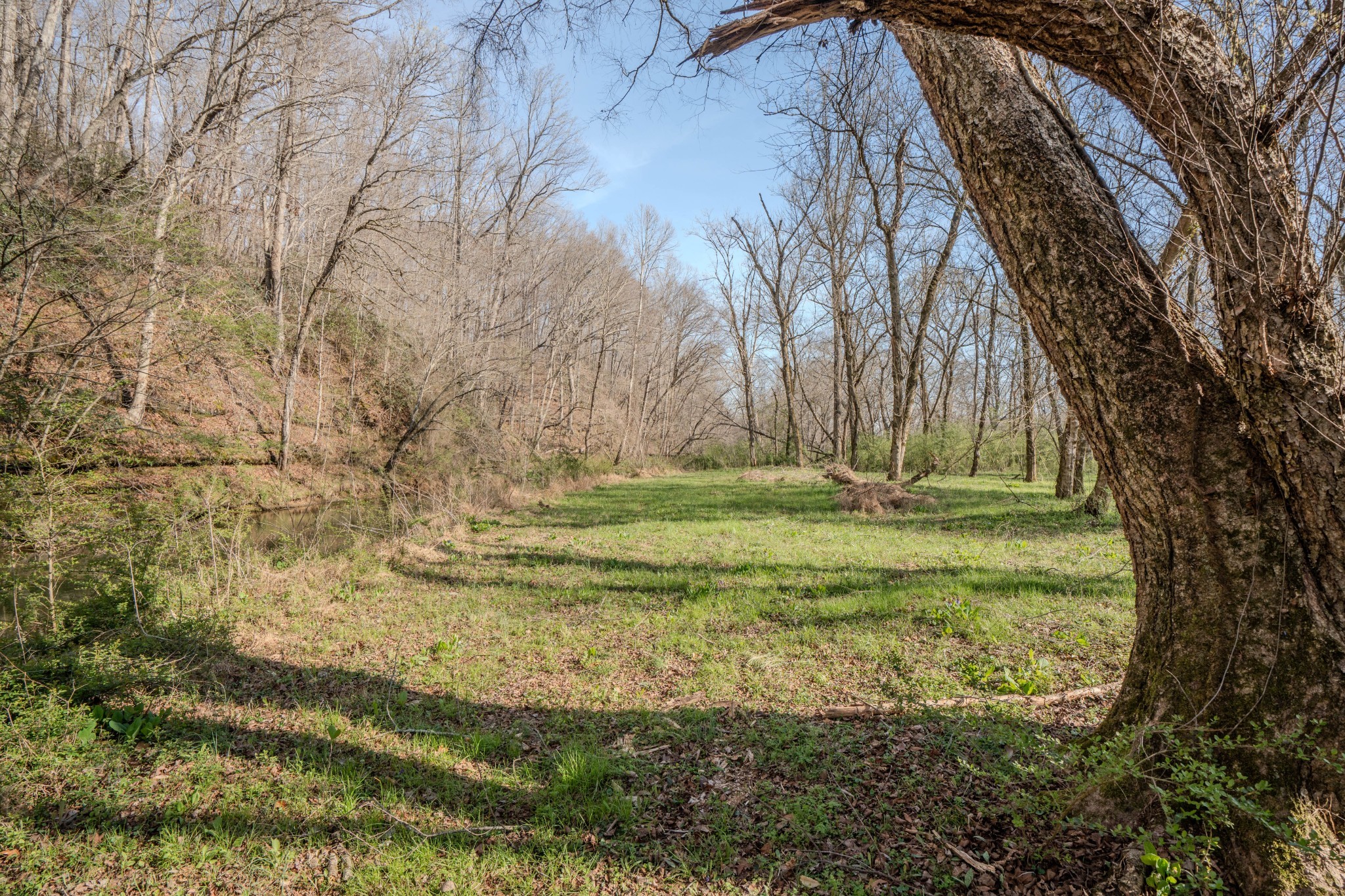109 Rascal Town Road Loretto, TN 38469 - Photo 39 of 43 a view of yard with green space
