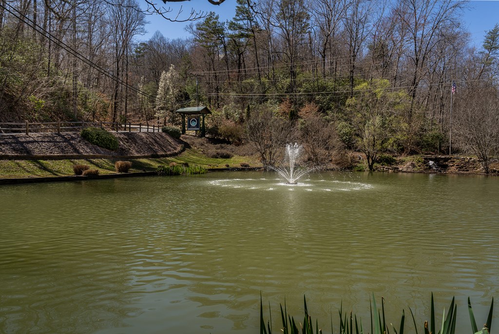 170 Lakota Trail Blue Ridge, GA 30513 - Photo 75 of 75 Gallery Image 75