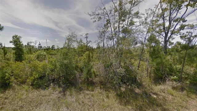 $60,000 | Tbd Tbd Panhandle Road, Dequincy, LA 70633