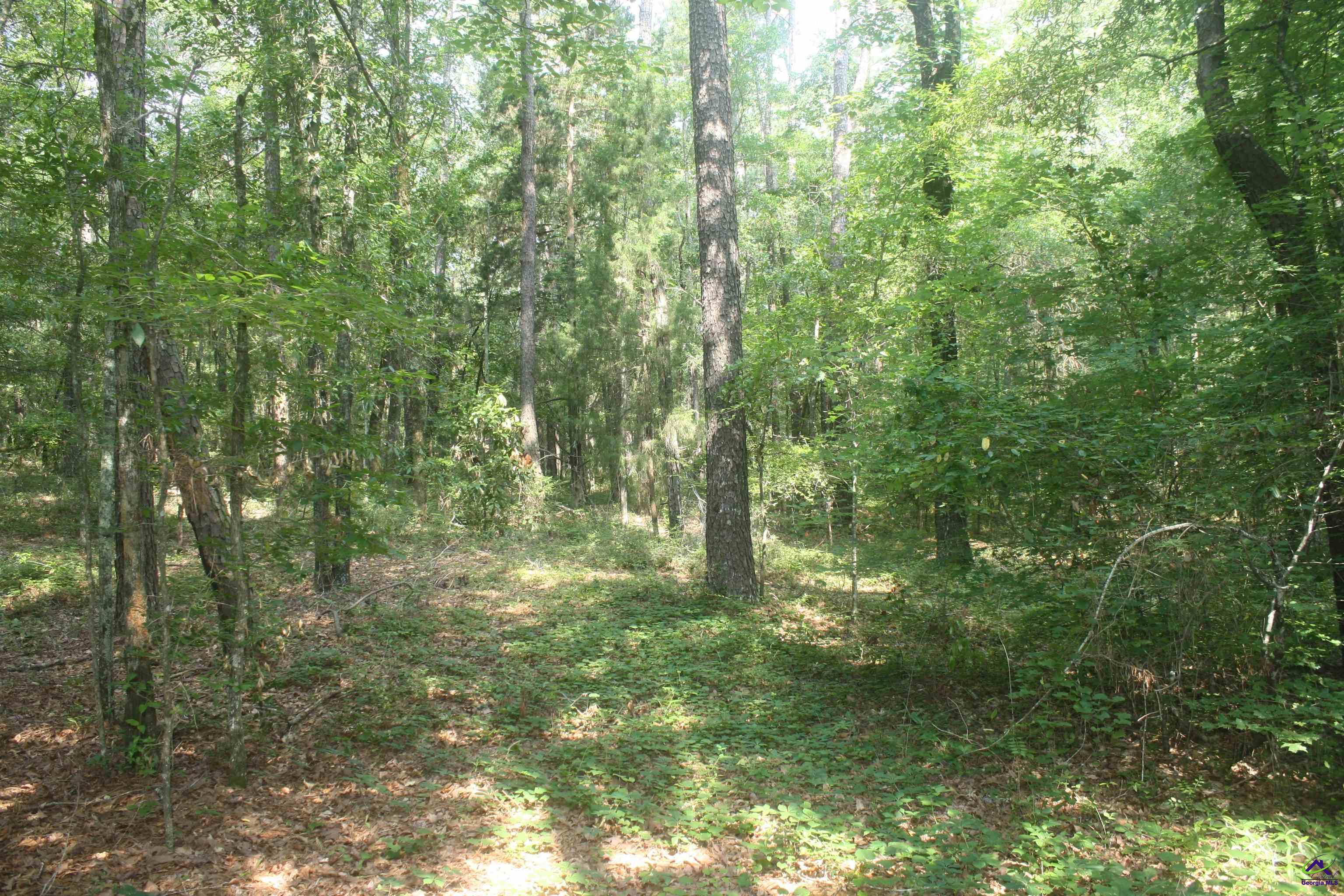 176 Seagull Road Cochran, GA 31014 - Photo 1 of 6 a view of a yard
