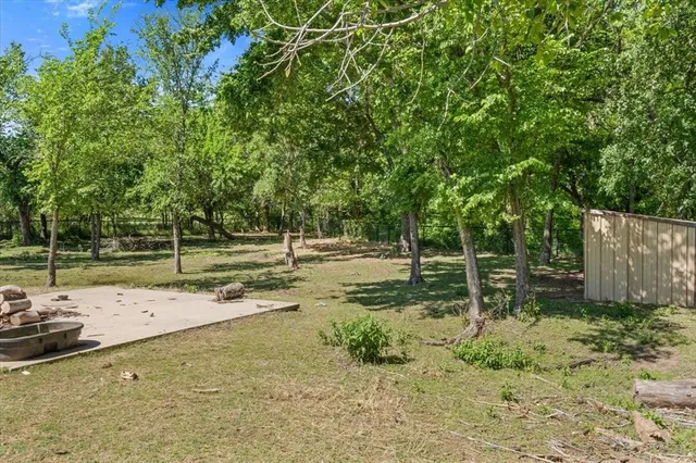 a view of a park with large trees