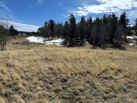 1931 Campfire Road Hartsel, CO 80449 - Photo 19 of 32 a view of outdoor space with trees