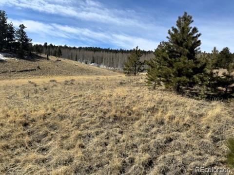 1931 Campfire Road Hartsel, CO 80449 - Photo 21 of 32 a view of lake view and mountain
