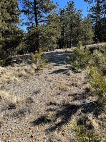1931 Campfire Road Hartsel, CO 80449 - Photo 3 of 32 a view of dirt yard and mountain view