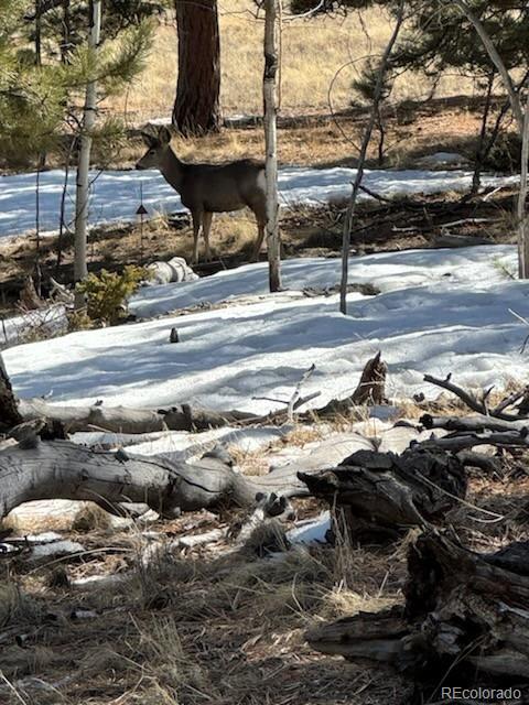 1931 Campfire Road Hartsel, CO 80449 - Photo 6 of 32