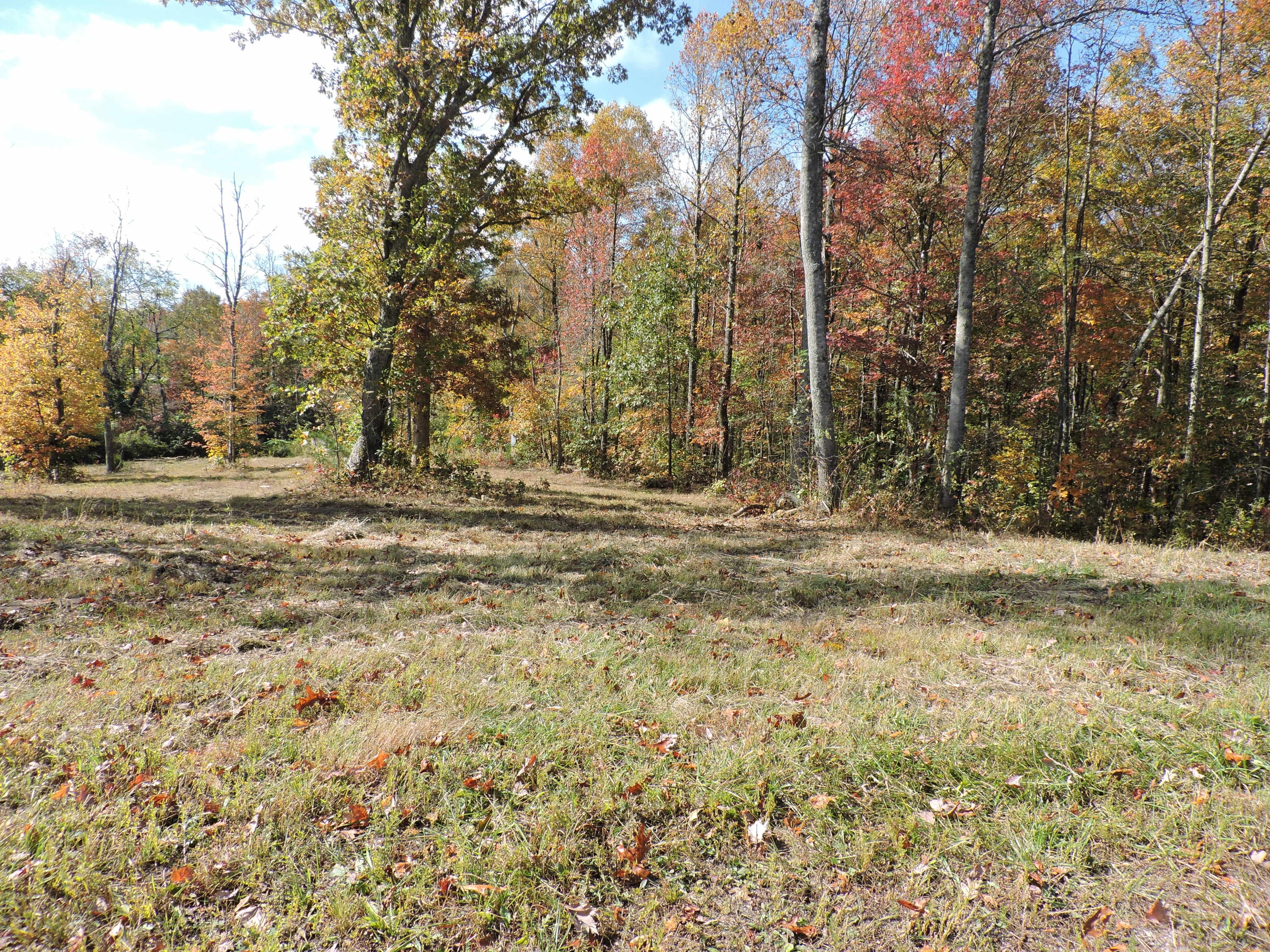 471 Briley Road Spring City, TN 37381 - Photo 5 of 7 b7