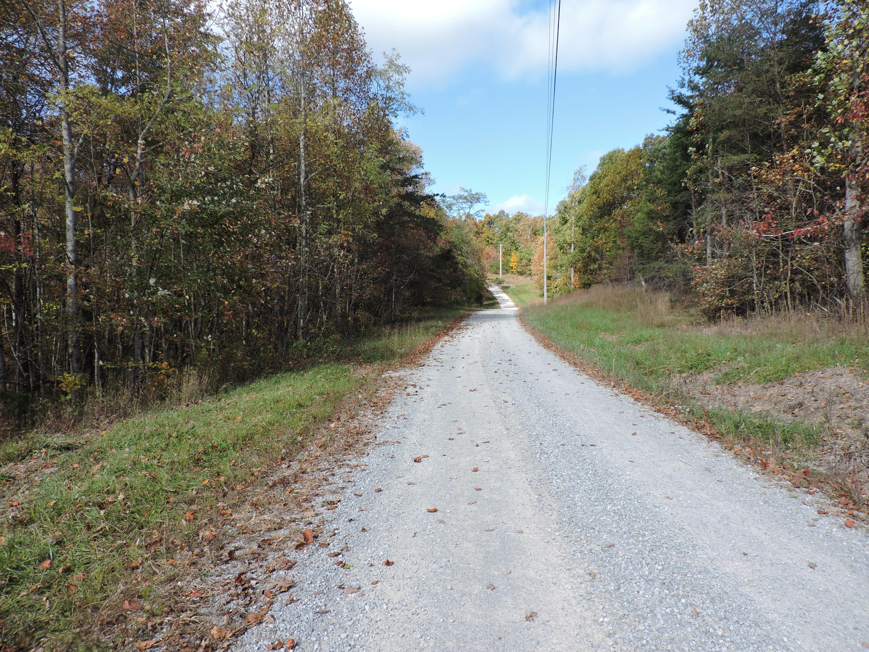 471 Briley Road Spring City, TN 37381 - Photo 6 of 7 b9