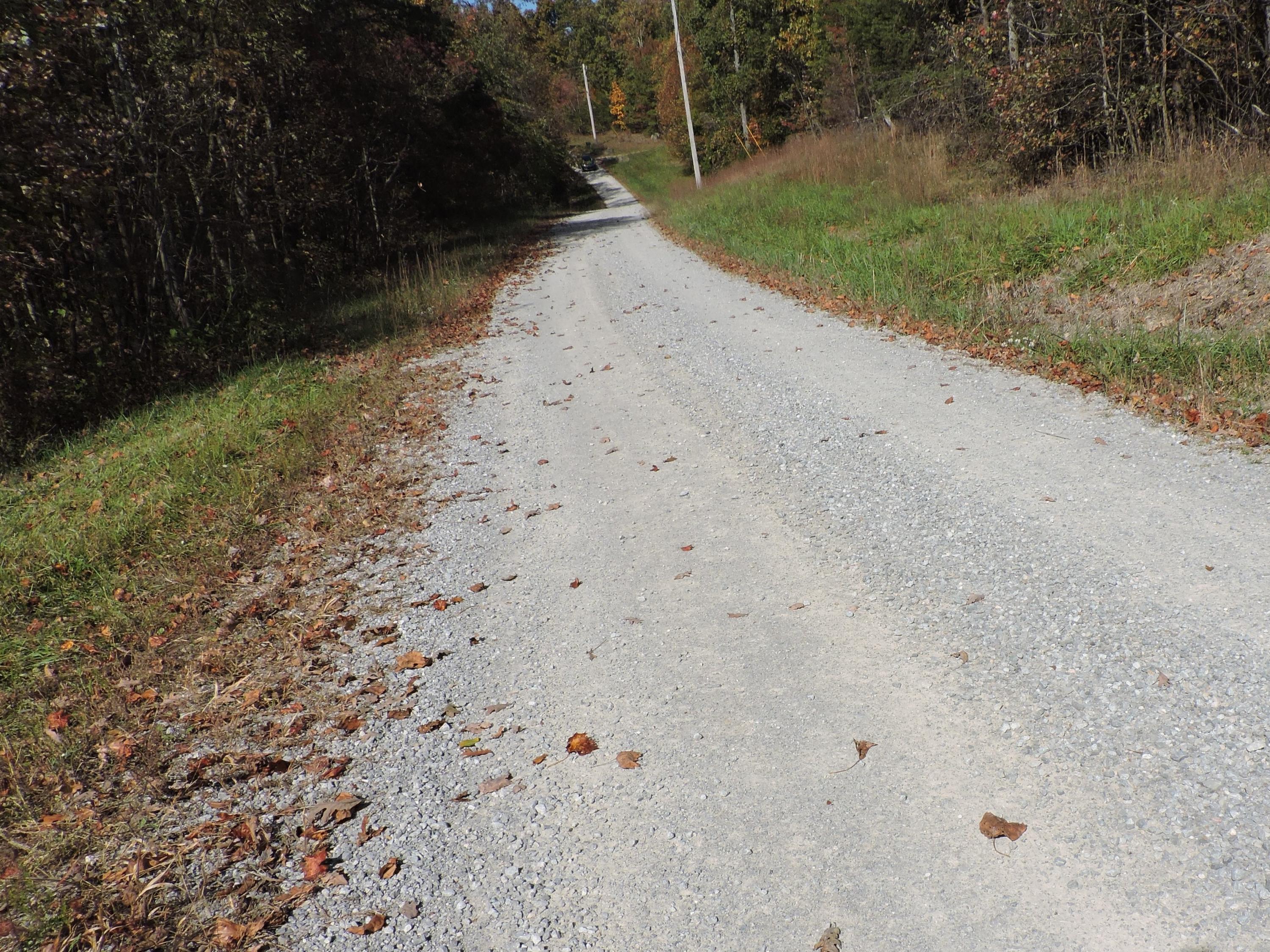 471 Briley Road Spring City, TN 37381 - Photo 7 of 7 b10