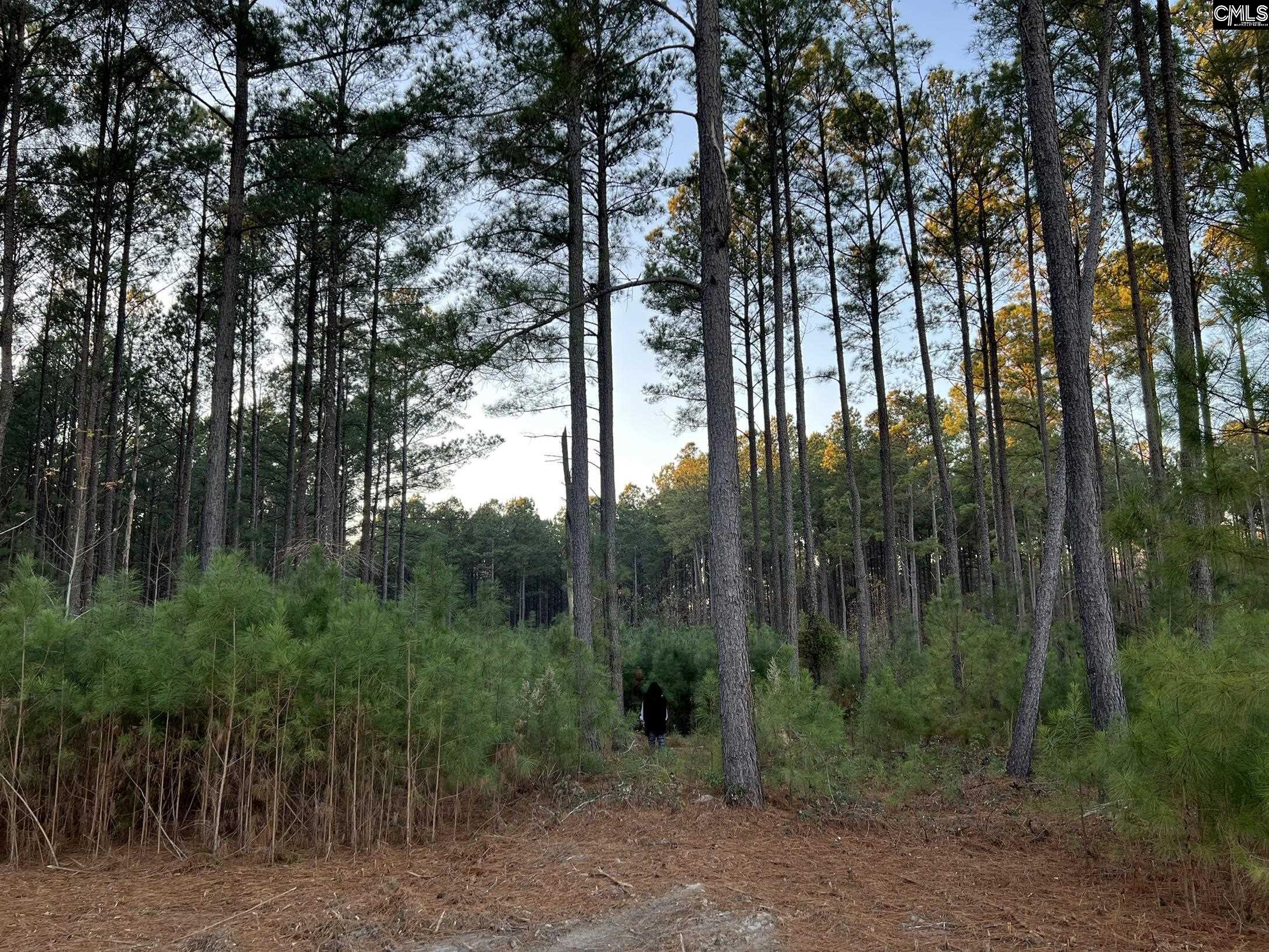 657 Old Field Road Leesville, SC 29070 - Photo 2 of 5