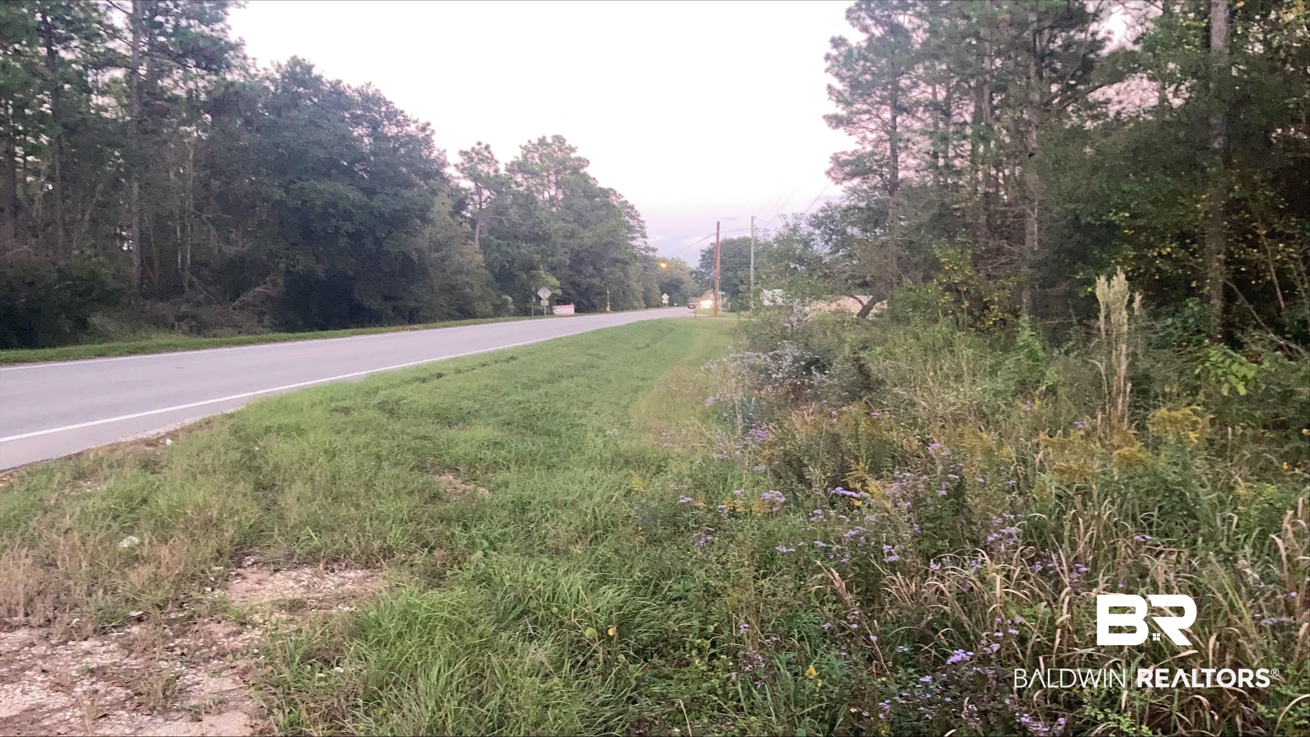 0 Dawes Road Theodore, AL 36582 - Photo 2 of 3
