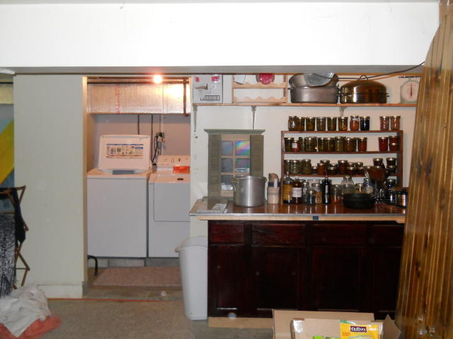73 Hc Road Alderson, WV 24910 - Photo 49 of 51 Canning and laundry area