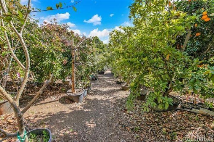 2081 Elevado Road Vista, CA 92084 - Photo 43 of 70