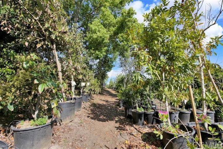 2081 Elevado Road Vista, CA 92084 - Photo 44 of 70