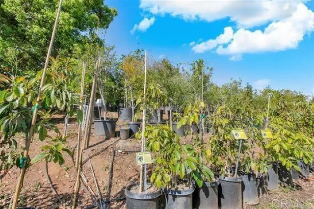 $3,499,000 | 2081 Elevado Road, Vista, CA 92084