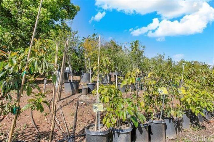 2081 Elevado Road Vista, CA 92084 - Photo 45 of 70